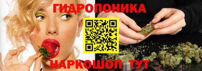 Альфа ПВП Малгобек
