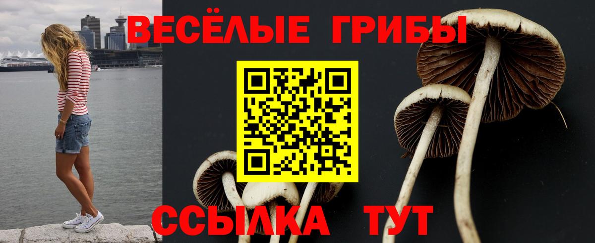 Галлюциногенные грибы Cubensis  Вход с VPN  Унеча 
